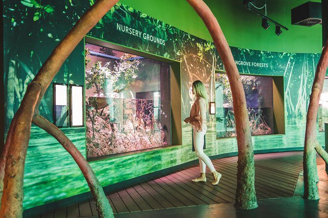 Cairns Aquarium Admission Ticket - Who Should Visit Cairns Aquarium?