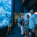Cairns Aquarium by Twilight Tour - The Sum Up: Who Should Consider This Tour?