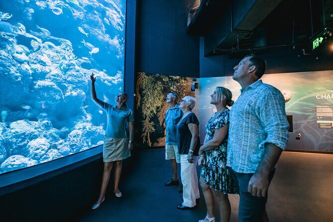 Cairns Aquarium by Twilight Tour - The Sum Up: Who Should Consider This Tour?