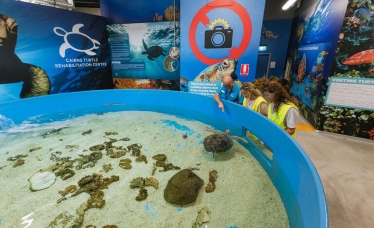 Cairns: Aquarium Entry Ticket and Turtle Rehabilitation Tour - Value and Practical Considerations