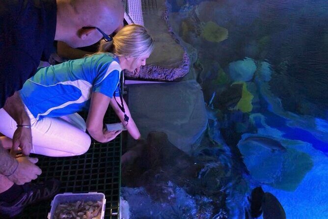 Cairns Aquarium Marine Life Encounter Ticket - FAQs