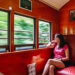 Cairns: Best of the Kuranda Rainforest Full-Day Tour & Lunch - Analyzing the Value and Experience