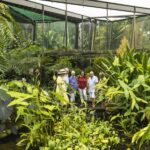 Cairns: Cairns City Sights & Surrounds Half Day Tour - Final Thoughts: Is This Tour for You?