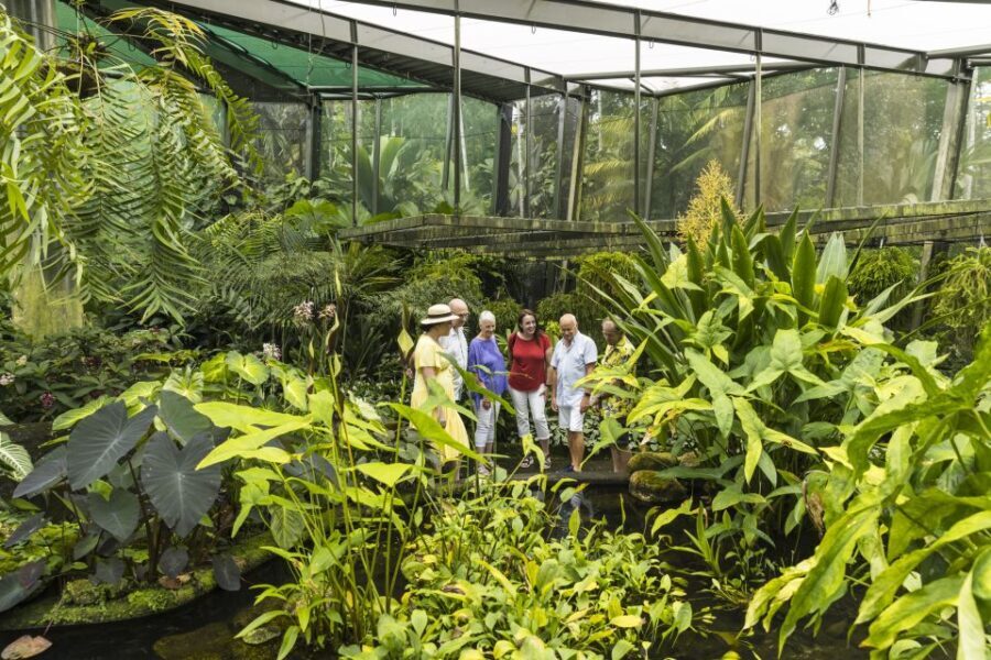 Cairns: Cairns City Sights & Surrounds Half Day Tour - Final Thoughts: Is This Tour for You?