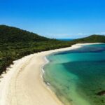 Cairns: Cape Tribulation, Beaches, Crocs & Swimming Day Tour - The Experience in Detail