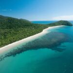 Cairns: Cape Tribulation, Daintree, Mossman and Port Douglas - Transportation and Group Size