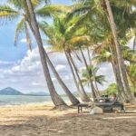 Cairns City Half Day Tour - The Experience from Travelers’ Perspectives
