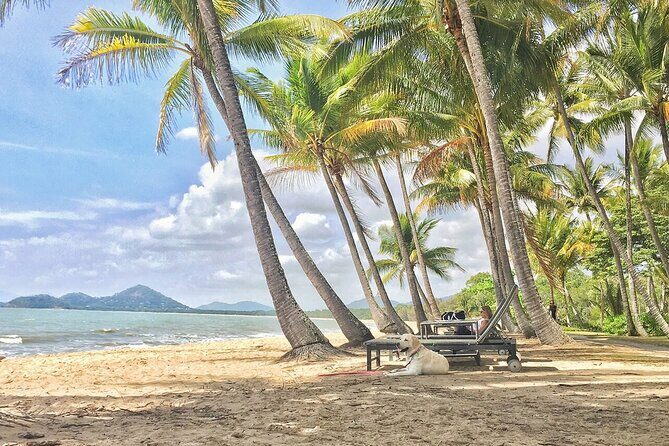 Cairns City Half Day Tour - The Experience from Travelers’ Perspectives