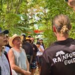 Cairns: Daintree Rainforest and Mossman Gorge Tour - The Sum Up