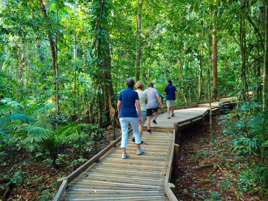 Cairns: Daintree Rainforest Canopy Ziplining Tour - An In-Depth Look at the Daintree Rainforest Canopy Ziplining Tour