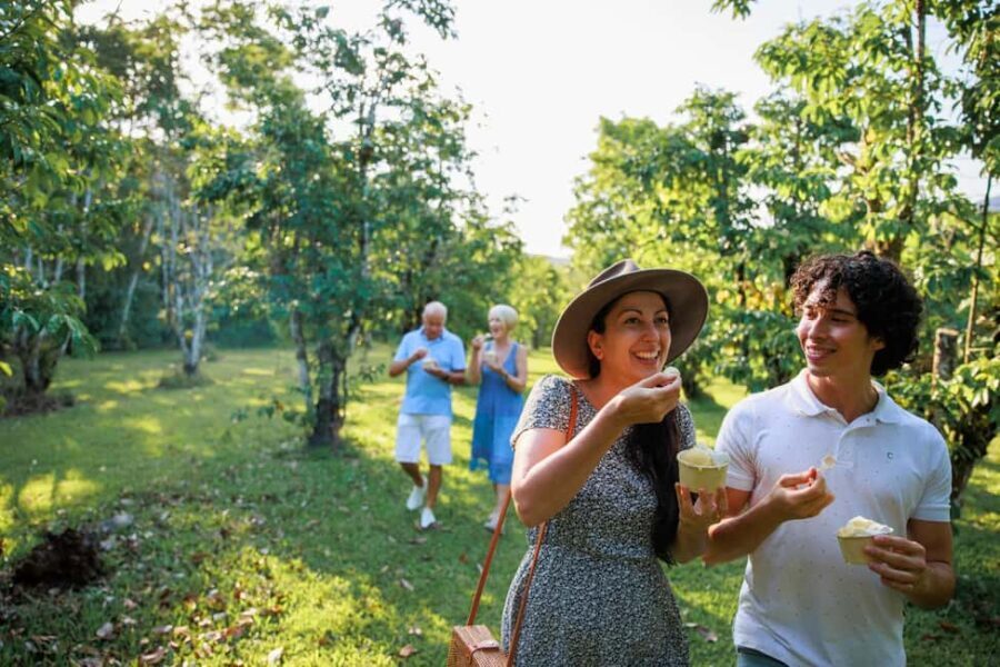 Cairns: Daintree Rainforest & Cape Tribulation Day Trip - Exploring the Itinerary in Depth