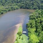 Cairns: Daintree Rainforest Wildlife Experience Cruise - What the Reviews Say