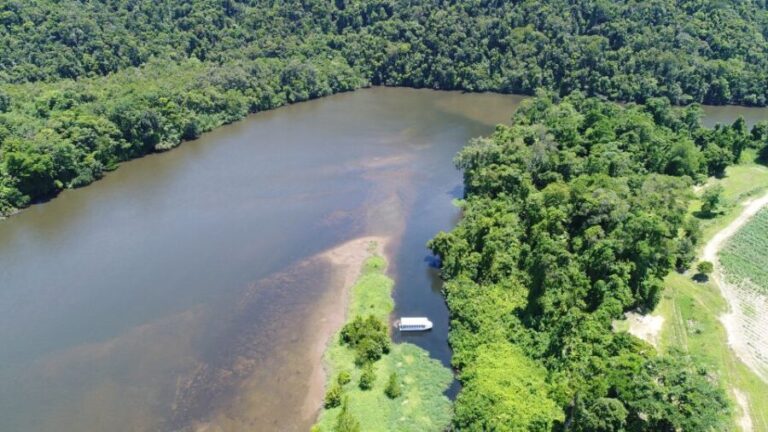 Cairns: Daintree Rainforest Wildlife Experience Cruise - What the Reviews Say