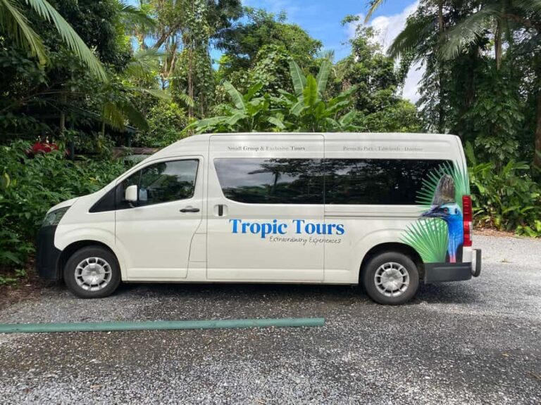 Cairns: Daintree River Cruise and Mossman Gorge - Transportation & Group Size