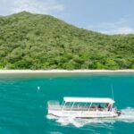 Cairns: Fitzroy Island Ferry w/ Snorkel, Lunch, Tour Options - The Value of This Experience