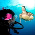 Cairns: Great Barrier Reef 3-Day Liveaboard Dive Trip - Detailed Itinerary Breakdown