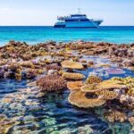Cairns: Great Barrier Reef 5 Day Learn to Dive Course - The Dive Experience: Why It Matters