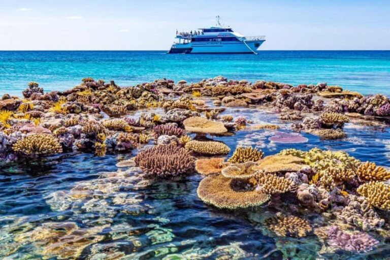 Cairns: Great Barrier Reef 5 Day Learn to Dive Course - The Dive Experience: Why It Matters
