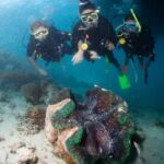 Cairns: Great Barrier Reef Cruise & 10 Minute Helicopter - The Experience: Balancing Value and Authenticity