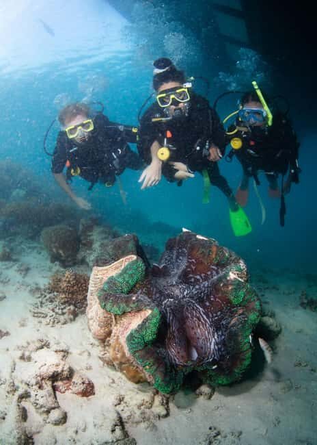 Cairns: Great Barrier Reef Cruise & 10 Minute Helicopter - The Experience: Balancing Value and Authenticity