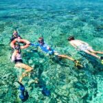 Cairns: Great Barrier Reef Full-Day Tour - Who Will Love This Tour?