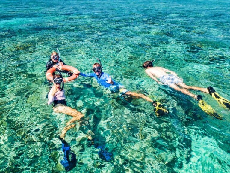 Cairns: Great Barrier Reef Full-Day Tour - Who Will Love This Tour?