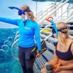 Cairns: Great Barrier Reef Pontoon - Indulgence Package - The Itinerary: What You Can Expect