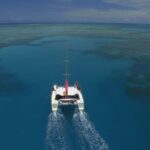 Cairns: Great Barrier Reef Snorkeling Tour with Lunch - A Deep Dive into the Reef Experience