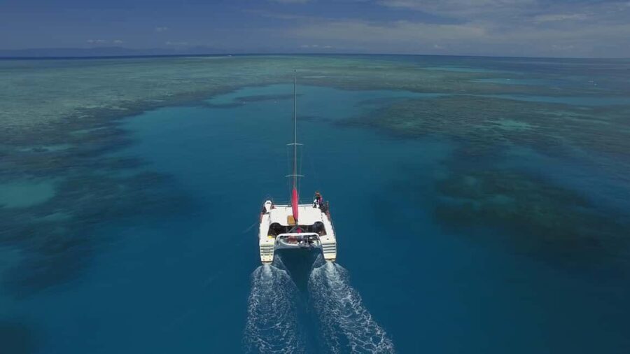 Cairns: Great Barrier Reef Snorkeling Tour with Lunch - A Deep Dive into the Reef Experience