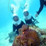 Cairns: Green Island and Seawalker Helmet Dive Combo - An Honest Appraisal of the Tour’s Value