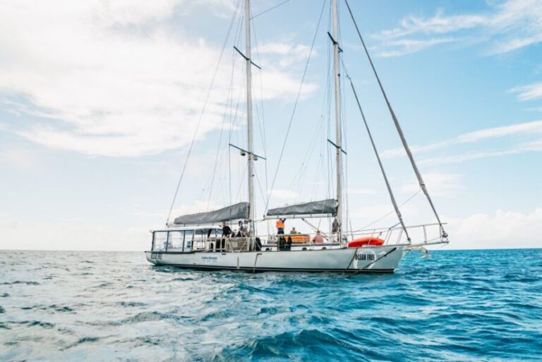 Cairns: Green Island & Great Barrier Reef Sailing Tour - The Sum Up