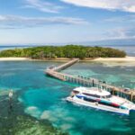 Cairns: Green Island + Moore Reef Activity Platform Combo - Why This Tour Works for You