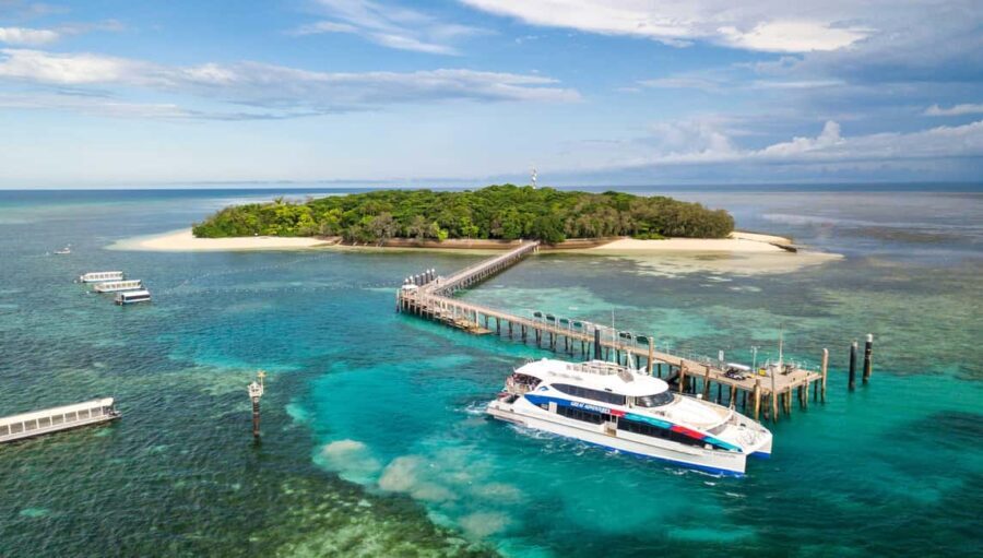 Cairns: Green Island + Moore Reef Activity Platform Combo - Why This Tour Works for You