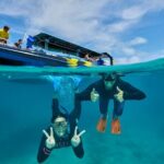 Cairns Half Day Tour a Great Barrier Reef Snorkeling Experience - The Bottom Line