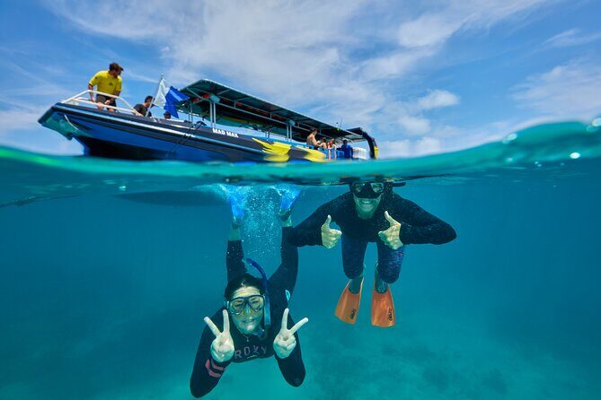 Cairns Half Day Tour a Great Barrier Reef Snorkeling Experience - The Bottom Line
