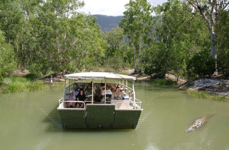 Cairns: Hartley's Crocodile Adventures Visit with Transfer - The Value of This Tour