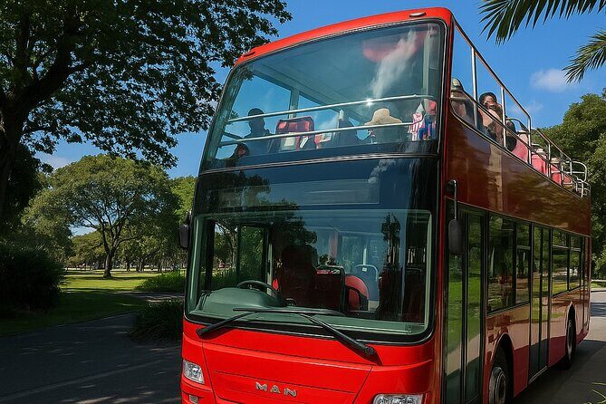 Cairns Hop on Hop Off - Final Thoughts