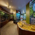 Cairns Koalas and Creatures Entry Ticket with Koala Photo - The Experience Breakdown