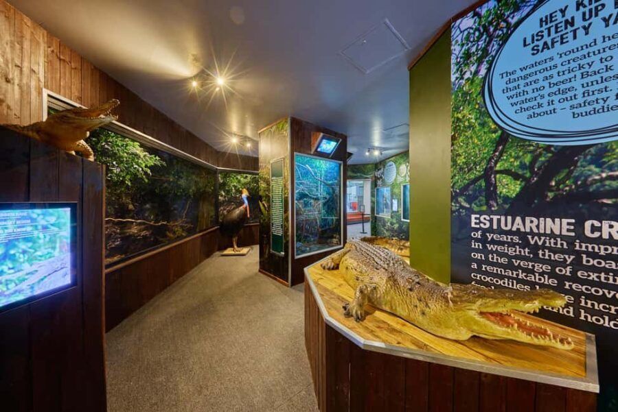 Cairns Koalas and Creatures Entry Ticket with Koala Photo - The Experience Breakdown