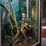 Cairns Koalas & Creatures at the Pier - Final Thoughts