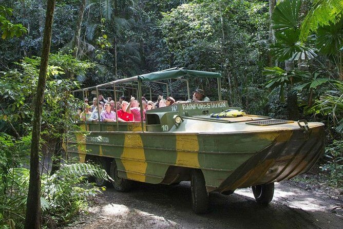 Cairns Kuranda Skyrail and Railway Small group tour - Transportation and Guides: Why They Matter