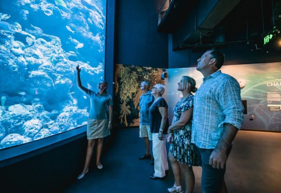 Cairns: Night at the Aquarium Guided Tour - Why This Tour Stands Out