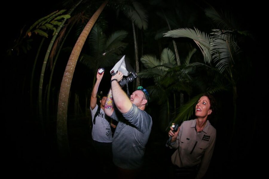 Cairns: Night Walk in Cairns Botanic Gardens - Exploring Cairns’ Night Walk in the Botanic Gardens