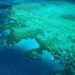 Cairns: Outer Edges of The Great Barrier Reef Scenic Flight - What to Expect During the Flight