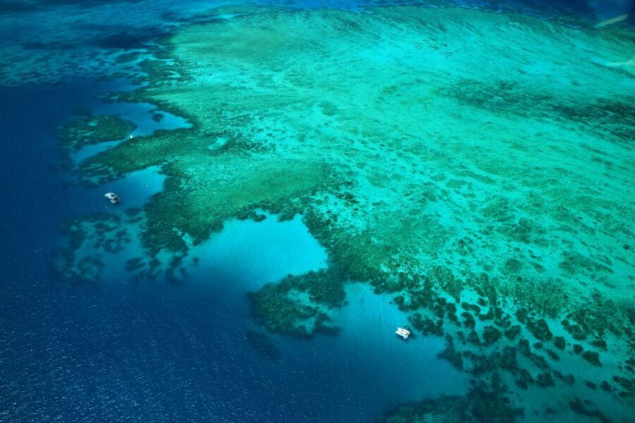 Cairns: Outer Edges of The Great Barrier Reef Scenic Flight - What to Expect During the Flight