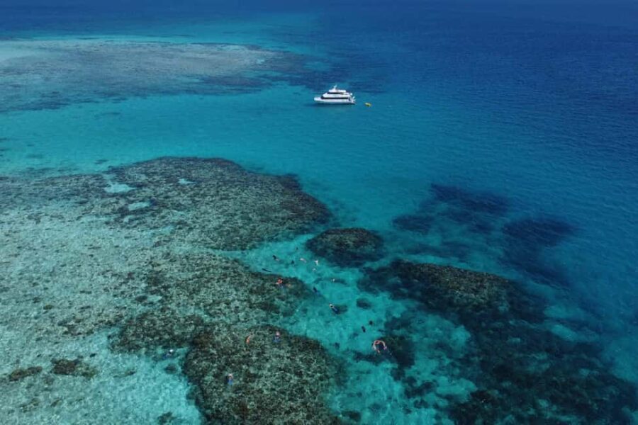 Cairns: Outer Great Barrier Reef & Dunk Island Small Group - A Closer Look at the Tour Experience