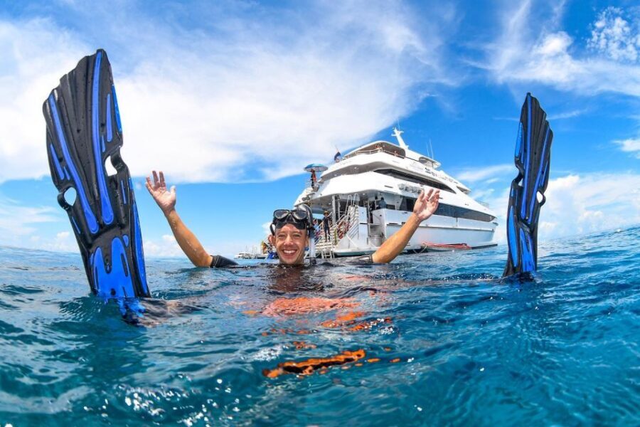 Cairns: Outer Great Barrier Reef Full-Day Tour with Lunch - First Reef Stop: Stunning Underwater Encounters
