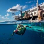 Cairns: Reef Zoom Half Day Helicopter & Snorkeling Tour - A Practical Review: What to Expect and Why It Matters