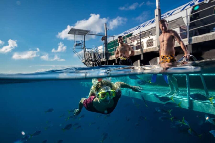 Cairns: Reef Zoom Half Day Helicopter & Snorkeling Tour - A Practical Review: What to Expect and Why It Matters
