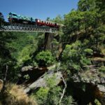 Cairns: Skyrail, Kuranda, and Rail Tour with Hotel Transfers - The Real Value of the Tour